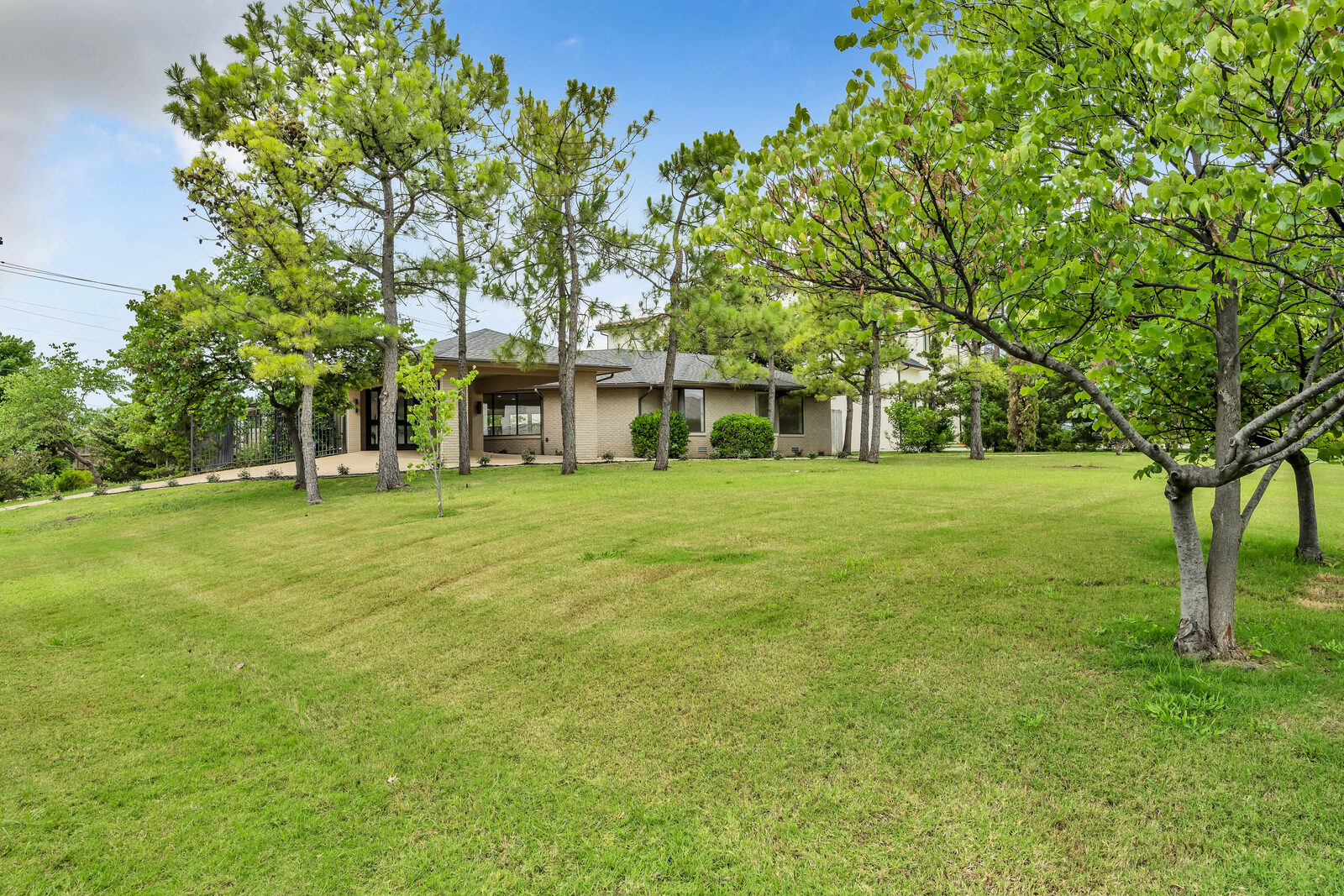 Side angle of the estate showing the depth of the grounds, established pines, and the home's relationship to the lot